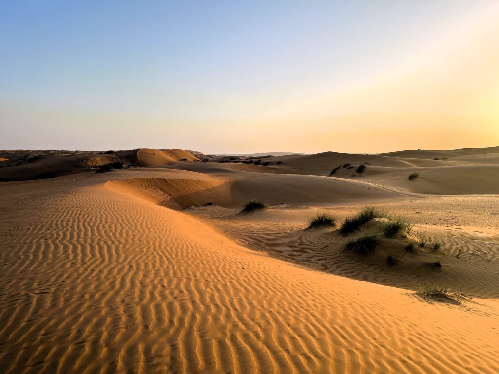 Wahiba Sands Oman