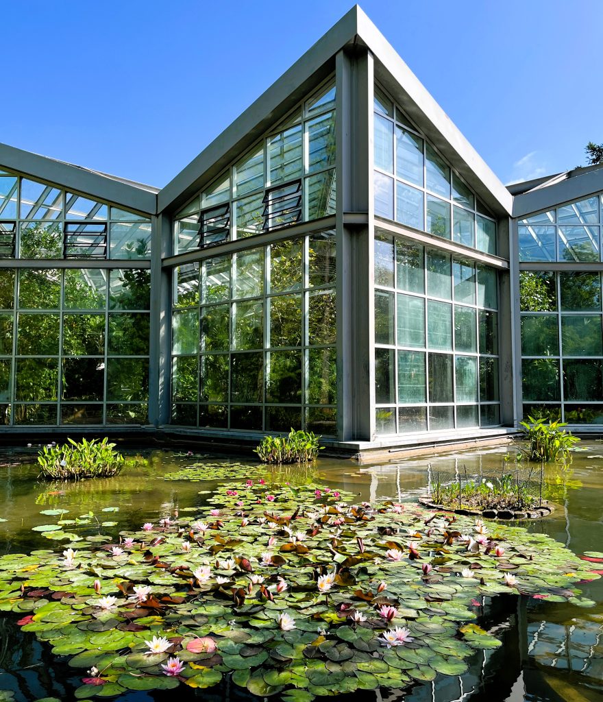 Palmengarten Tropicarium Frankfurt Germany Europe