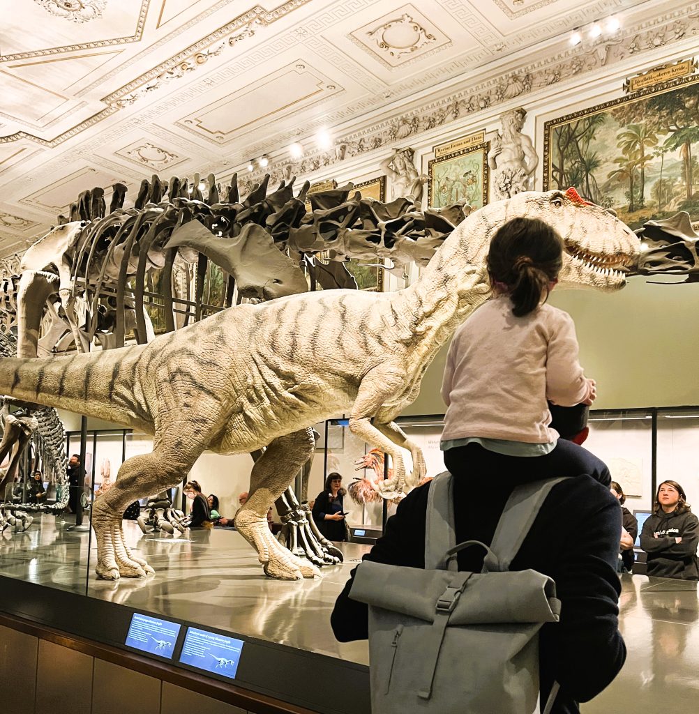 Natural Histroy Museum Vienna Austria